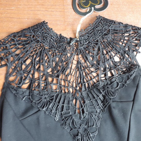 Black Lace Neckline Dress - NWT - Picture 5 of 6